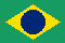 Português Brasil
